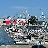 2026 CORK J80 WORLD CHAMPIONSHIPS